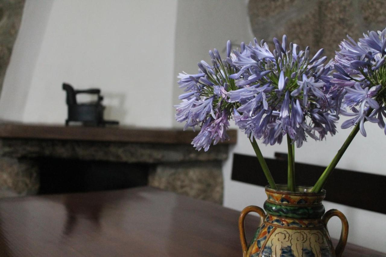 Refugio Do Douro - Alojamento Local Baião Εξωτερικό φωτογραφία